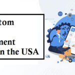 Custom Software Development Services in the USA