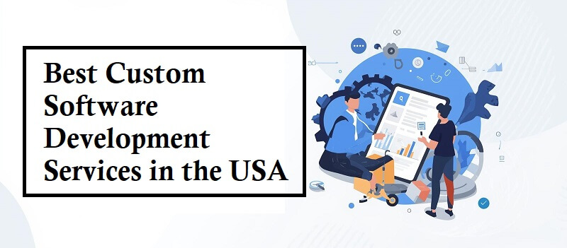 Custom Software Development Services in the USA