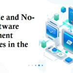 Low-Code and No-Code Software Development Companies in the USA