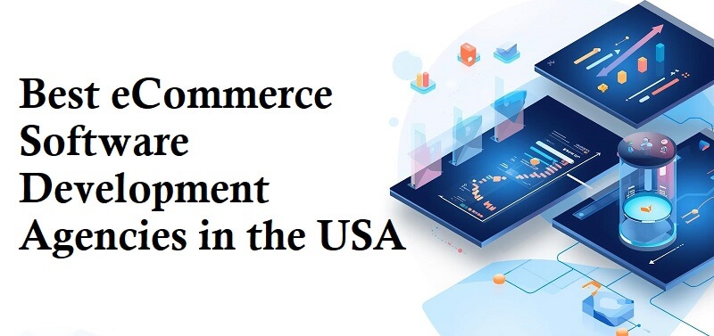 Best eCommerce Software Development Agencies in the USA for Online Retail Success
