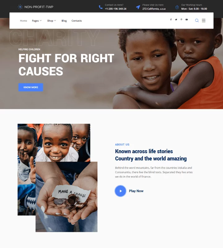 Non Profit Twp WordPress Theme